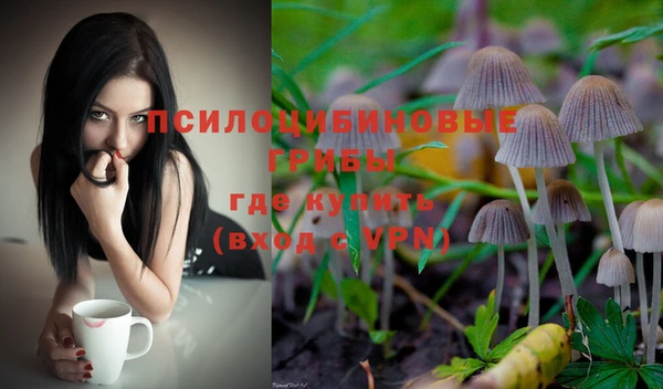марки nbome Богданович