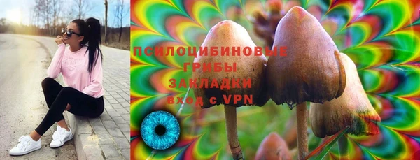 альфа пвп Богородицк